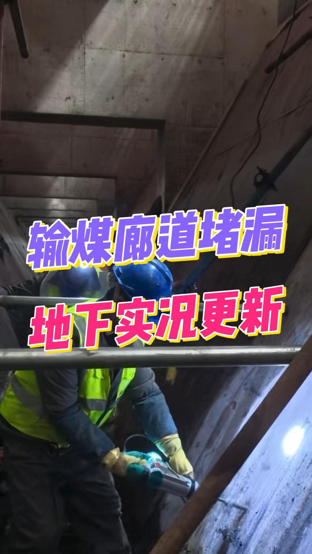 安徽输煤廊道硬核实拍